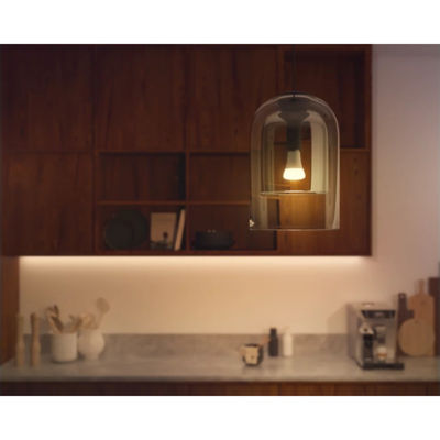 Philips Hue A67 - E27 White Ambiance Smart bulb - 1600 Lumen 7