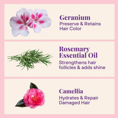The Powder Shampoo Nourishing Repair Conditioner - 70g Alu Bottle 5
