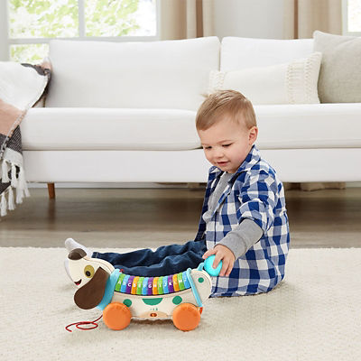 LeapFrog Wooden AlphaPup 5