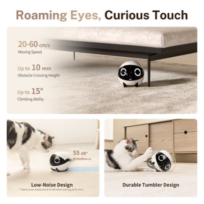Enabot ROLA Mini Smart Familybot Remote Robot CCTV for Family 3