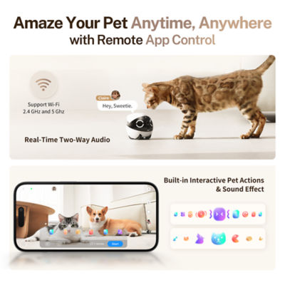 Enabot ROLA Mini Smart Familybot Remote Robot CCTV for Family 5