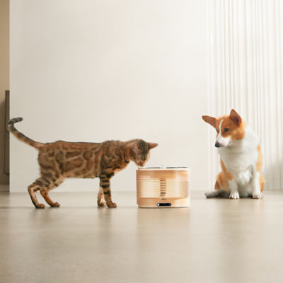 Enabot ROLA Smart Pet Water Fountain Filter Set 5