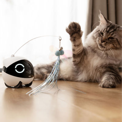 Enabot 7 in 1 Interactive Cat Teaser Set 5