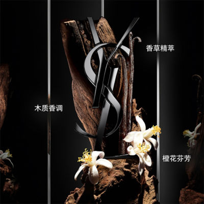 Buy YVES SAINT LAURENT Myslf Le Parfum Online in Singapore