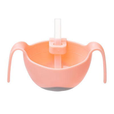 B.Box Bowl and Straw 2