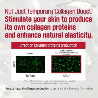 Round Lab [Bundle] Deep Collagen Firming Ampoule 30ml + Collagen Firming Cream 50ml 5