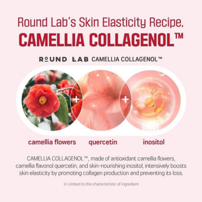 Round Lab [Bundle] Deep Collagen Firming Ampoule 30ml + Collagen Firming Cream 50ml 6