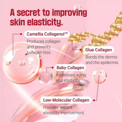 Round Lab [Bundle] Deep Collagen Firming Ampoule 30ml + Collagen Firming Cream 50ml 7