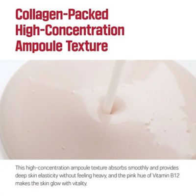Round Lab [Bundle] Deep Collagen Firming Ampoule 30ml + Collagen Firming Cream 50ml 8