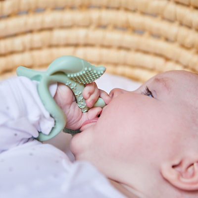 B.Box Wrist Teether 6