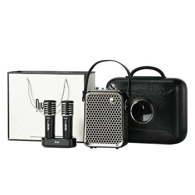Divoom SongBird-HQ2 50W Dual Mic Karaoke & Bluetooth Speaker 2