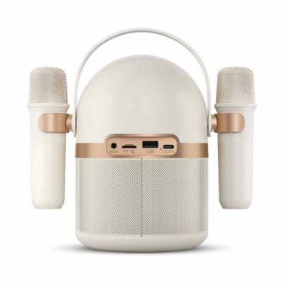 Philips Bluetooth Karaoke Speaker with Two Microphones (TAS2509WT) 5