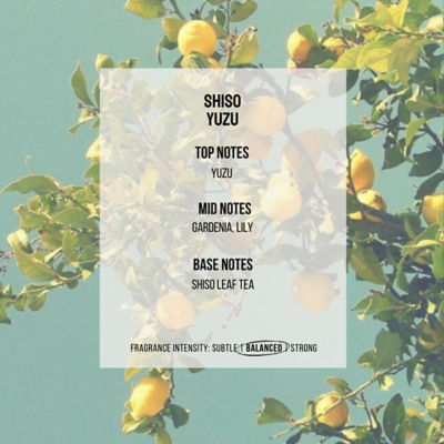 Soul Good Project Shiso Yuzu Reed Diffuser 2