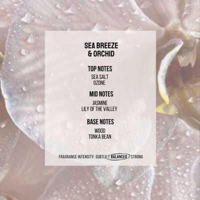 Soul Good Project Sea Breeze & Orchid Reed Diffuser 2