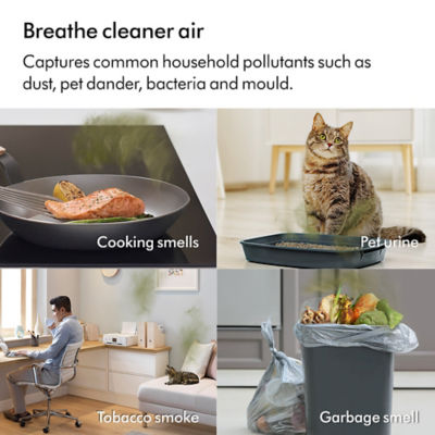 Dyson Purifier Cool Air Purifier PC1 TP11 3
