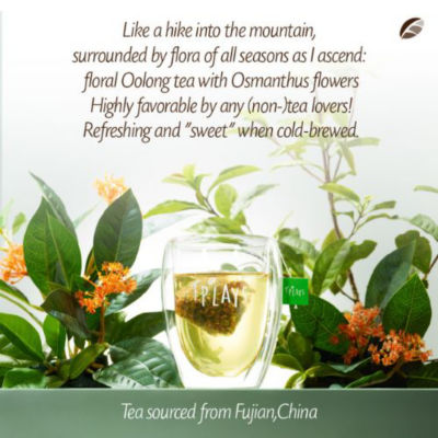 TPlays Tea | Cold Brew Set (4 flavours) 4