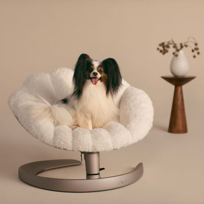 Tavo Shell Pet Bed and Swaying Lounger 6