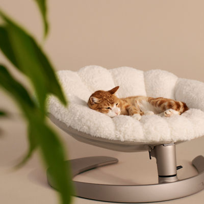 Tavo Shell Pet Bed and Swaying Lounger 7