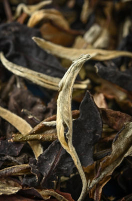 TPlays Tea | Festive Blessings Organic Tea Set 9