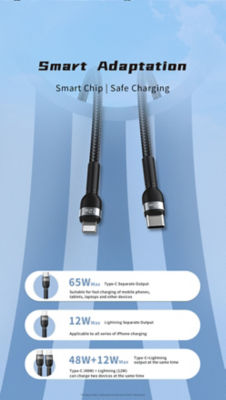 Recci 2-in-1 USB C to USB C and Lightning Cable PD 65W Max Fast Charging 1M Cable RTC-T16 7
