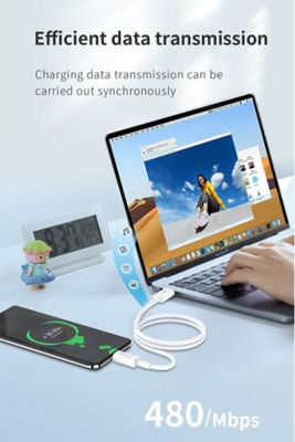 Recci USB A to USB C PD 20W Cable RS06C 3