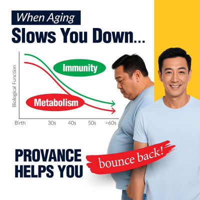 LABO Nutrition PROVANCE 90s 2