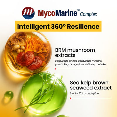 LABO Nutrition PROVANCE 90s 5