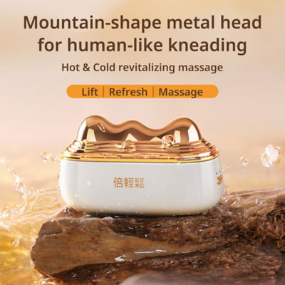 Breo GS-100 Beauty Meridian Facial Massager 3