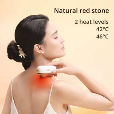 Breo GS-100 Beauty Meridian Facial Massager 5