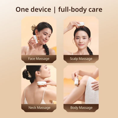Breo GS-100 Beauty Meridian Facial Massager 8
