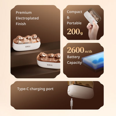 Breo GS-100 Beauty Meridian Facial Massager 9