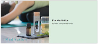 BONE Natural Wood Essential Oil Swing Diffuser (Alien) 11