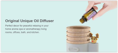 BONE Natural Wood Essential Oil Wood Diffuser (Lotso) 3