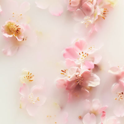 RITUALS The Ritual of Sakura - Small Gift Set 2025 3