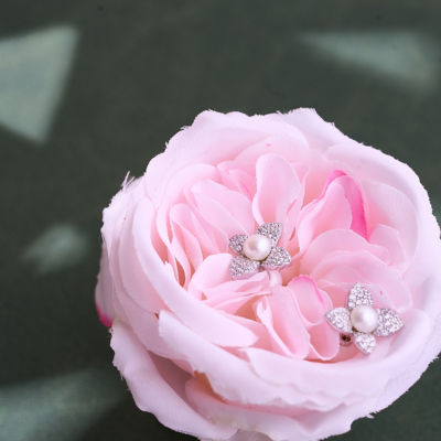 Pearly Lustre Top Grade Freshwater Pearl Earrings WE00830 | BLOOM 2
