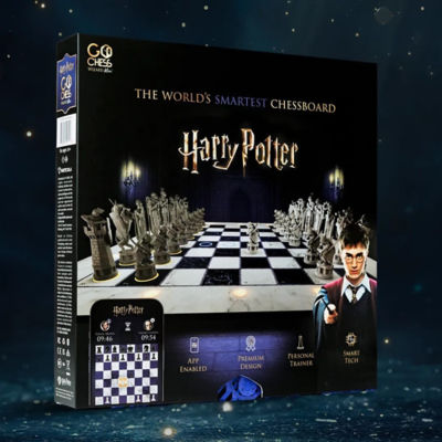 PARTICULA GoChess Wizard Mini Harry Potter 14