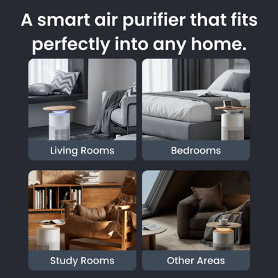 SwitchBot Multi-functional Air Purifier Table 5