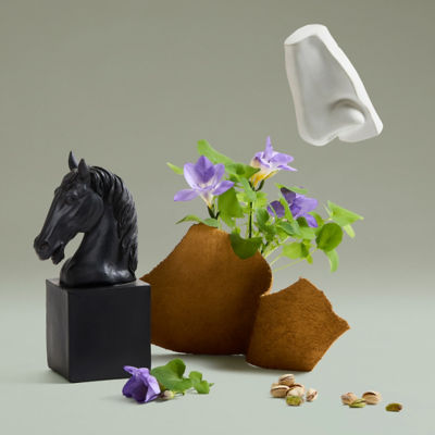 Penhaligon's 潘海利根兽首不期而遇的芬利香水 4