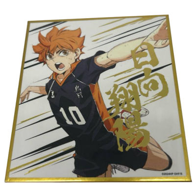 Haikyuu Shikishi Board - Hinata Shoyo 1