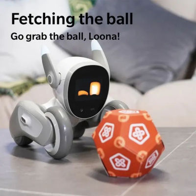 Loona Premium Smart Pet Robot Dog 6