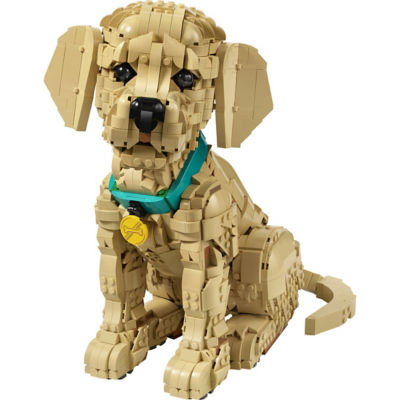 LEGO Icons 11384 Golden Retriever Puppy 3