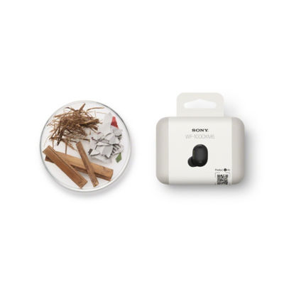Buy Sony WF-1000XM6 Wireless Noise Cancelling Earbuds Online in