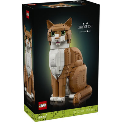 LEGO 乐高 21376 橙色的猫 1