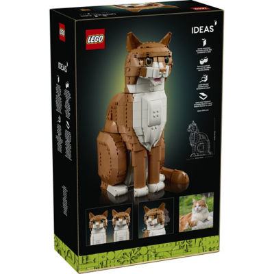 LEGO 乐高 21376 橙色的猫 2