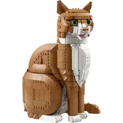 LEGO 乐高 21376 橙色的猫 3