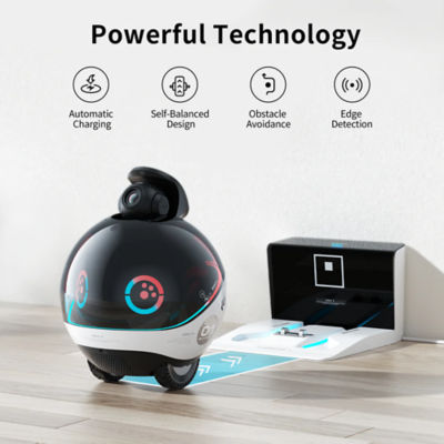 Enabot EBO X Smart Home Companion Robot with Alexa Built-in 6