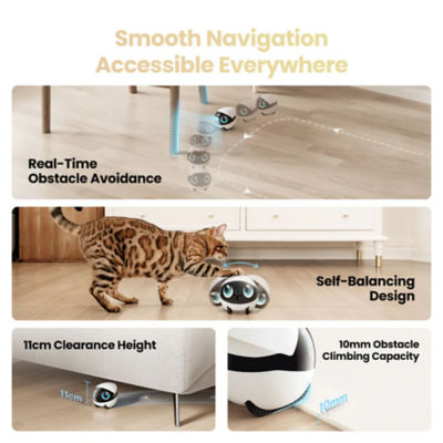 Enabot EBO Air 2S Smart AI CCTV Familybot 5