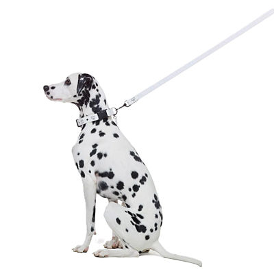 MCM Pet Leash in Visetos (White) 4