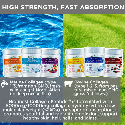 Biofinest海洋膠原蛋白肽粉5000毫克，富含維生素C和漿果成分 7