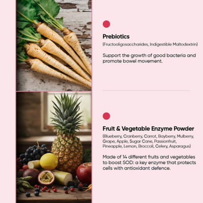 Holistic Way [两盒装] Holistic Way Essentials 超级康普茶排毒酵素 (20粉包) 4